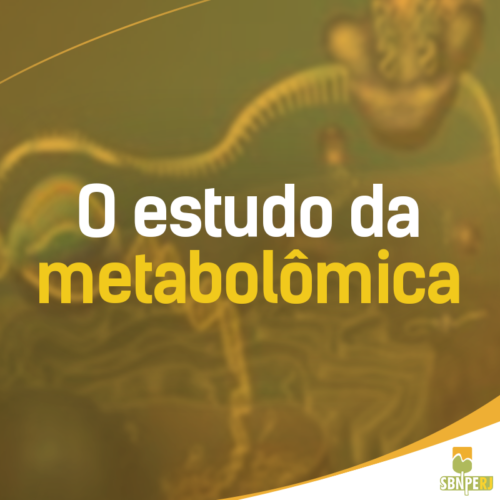 SBNPE_post27